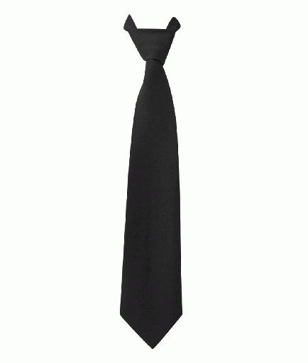 [AC538] CTIE2 STANDARD PLAIN TIE