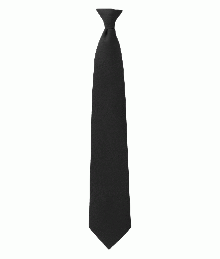 [AC539] CTIE1 CLIP ON TIE