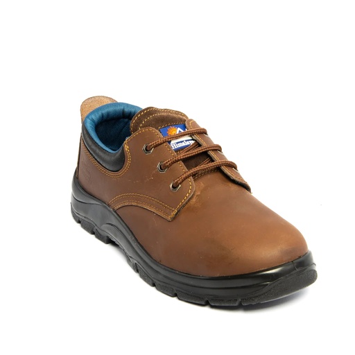[FW262] 141 HIMALAYAN SAFETY SHOES
