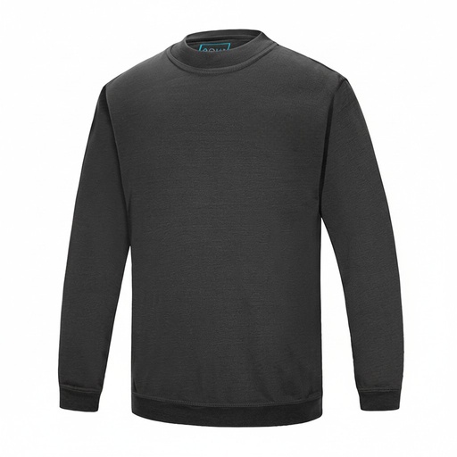 [SS004] SWEATSHIRT VA